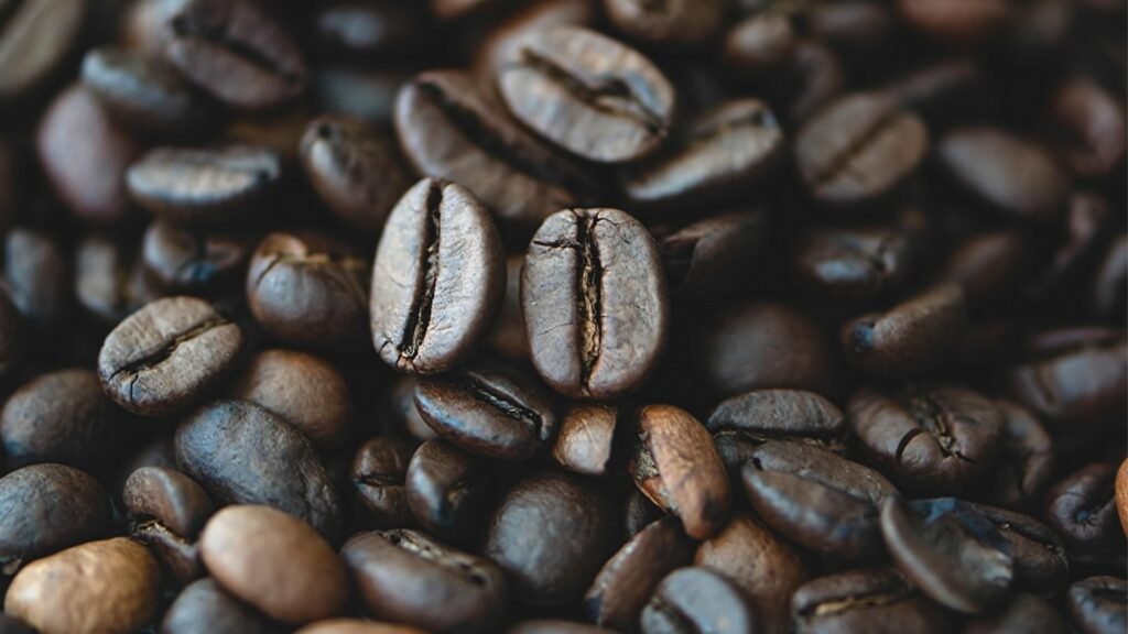 Best Coffee Shop in Singapore: 10 Must-Visit Cafes You Can’t Miss 10 best coffee shops in singapore you must visit