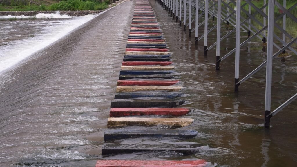 water activities and outdoor fun